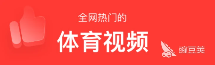 学校篮球队训练受伤谁负责_2